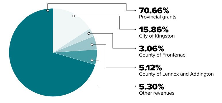 Public Health Programs Revenue 2020 Pie Chart