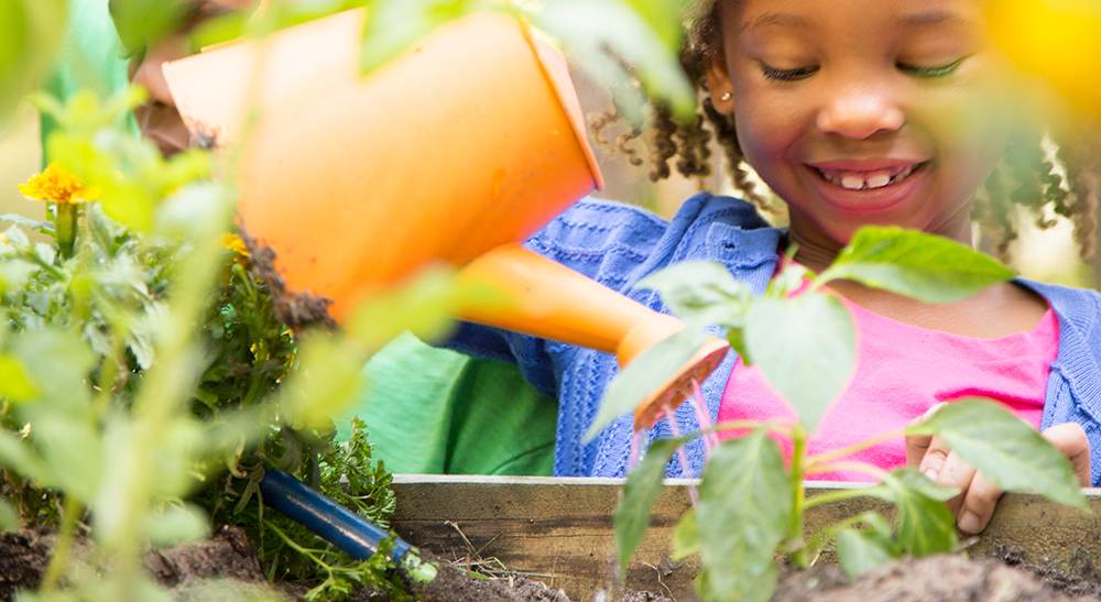 child watering plants