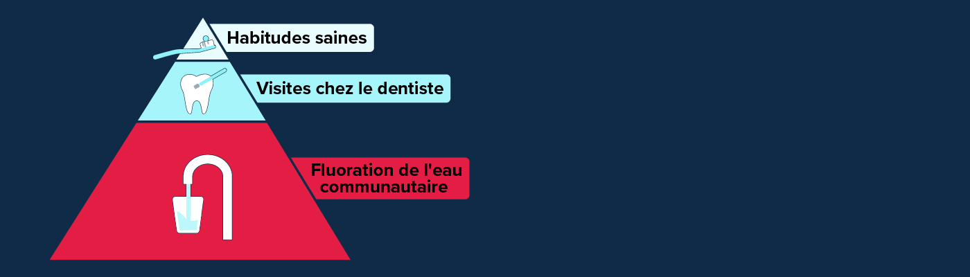 Habitudes saines, visites chez le dentiste, fluoration de l'eau communautaire