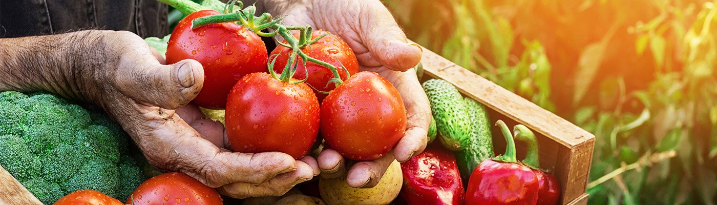 Hands holding vegetables.