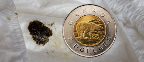 Black poop in diaper next to toonie. Toonie is larger than the poop.